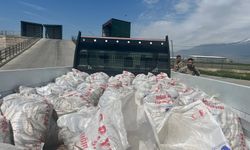 Van’dan Ağrı’ya kaçak götürülen 2 ton Van Balığı ele geçirildi!