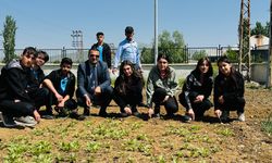Hakkari öğrenciler kendi sebzelerini yetiştiriyor
