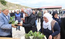 Van’da 200 bin sebze fidesi ücretsiz dağıtılacak!