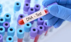 Eğlencesine DNA testi yaptıran kadın kocasıyla kardeş çıktı