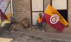 Galatasaraylı taraftar, şampiyonluğu aslanlarıyla kutladı! Aslanlara verdiği isim dikkat çekti