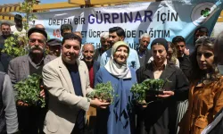 Gürpınar Belediyesi’nden çiftçilere destek: 45 bin fide dağıtıldı!