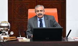 Van’dan Sırrı Süreyya Önder’e selam: Barışın sesi olmaya devam edeceğiz