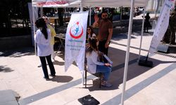 Van'da Obezite ile mücadele başladı! “İdeal Kilonu Öğren, Sağlıklı Yaşa”