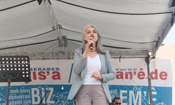 Van’da konuşan DBP Eş Genel Başkanı Uçar: Öcalan’ın barış çağrısı tarihi bir fırsat