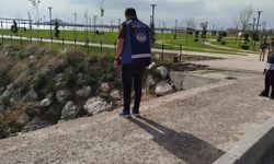 Tuşba Belediye Zabıta ekiplerinden İnci Kefali denetimi