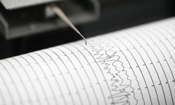 Ege'de 4,6 büyüklüğünde deprem!