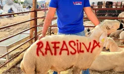 Beşiktaşlıların Rafa Silva sevgisi: Kurbanlıklara adını yazdılar...
