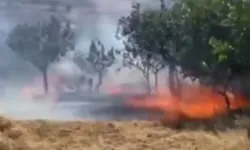 Çay için yakılan ateş faciaya yol açtı!
