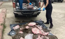Kaçak avlanan 6 ton balık, ihtiyaç sahiplerine dağıtıldı!