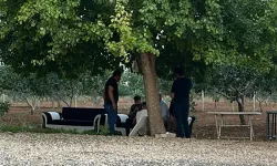 Aile içi kavga cinayetle bitti: Kardeşini vurdu