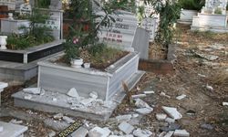 Mezarlığa giden vatandaşlar hayatlarının şokunu yaşadı!