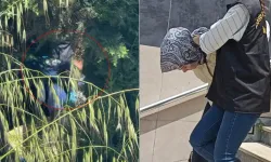 Mezarlıkta bulunan bebeğin annesi üniversite öğrencisi çıktı! İfadesi pes dedirtti