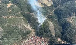 Manisa'da aynı gün ikinci orman yangını