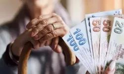 SGK Başuzmanı Karakaş, en düşük emekli maaşının ne kadar olacağını açıkladı
