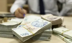 Çiftçilere 1,7 milyar liralık destek