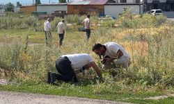 Çocuklar oyun oynarken el bombası buldu