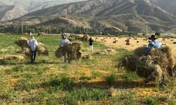Hakkari’de kızgın güneş altında ekmek mücadelesi