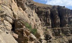 Hakkari’de koyunlar mahsur kaldı, ekipler yardıma koştu