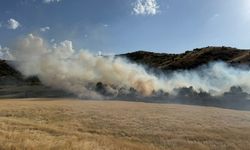 Bitlis’te buğday tarlasında çıkan yangın büyümeden söndürüldü