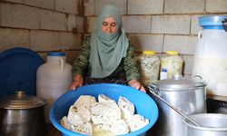 Vanlı besiciler 2 bin 700 rakımdaki yaylada otlu peynir üretiyor