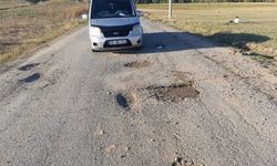 Van’ın bu köyüne ulaşım var ama… Yol değil köstebek yuvası!