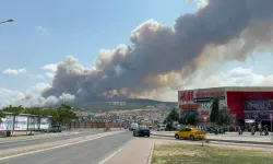 Çanakkale'deki orman yangınlarından sevindiren haber!