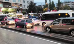 Van rekora koşuyor! Araç sayısı 100 bine yaklaştı