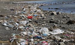 Van’ın incisi tehlike çanları çalıyor!