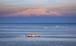 Van Balığının mucizevi göçü başladı, 3 aylık yasak devreye girdi!