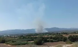 Orman yangınlarının ardı arkası kesilmiyor! 2 ilde alevler yükseldi