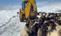 Kar ve tipi etkili oldu: 14 köy yolu ulaşıma kapandı