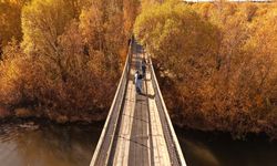 Van'da sonbaharın renklerinden mest eden görüntüler!
