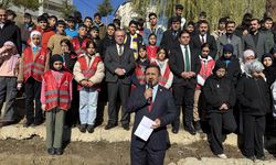 Hakkari'de Türkiye ve Gazze'deki şehitler anısına fidan dikildi