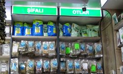 Van’da soğuk algınlığına ve nezleye bitkisel çözümler!