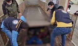 Bitlis'te 20 düzensiz göçmen yakalandı