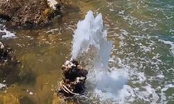 Van Gölü'nde bilim dünyasını şaşırtan manzara!