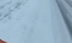 Bingöl’ün yüksek kesimleri beyaza büründü