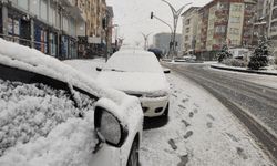 Hakkari'de mevsimin ilk karı yağdı