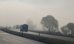 Bingöl’de sis etkili oldu