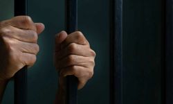 Van dahil birçok ilde 10 gün süren operasyonlarda 539 şüpheli yakalandı!