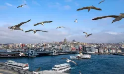 Türkiye 2026'da uluslararası üç büyük zirveye ev sahipliği yapacak