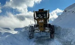 Van’da ulaşıma kar engeli