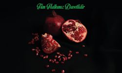 Van’da Yelda Gecesi düzenlenecek!