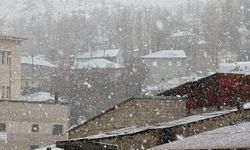 Van'da kar yağışı ilçeyi beyaza bürüdü