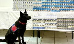 Van'da 8 bin 200 paket gümrük kaçağı sigara ele geçirildi