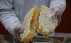 Vanlı arıcıdan Dubai’ye 16,5 tonluk bal ihracatı