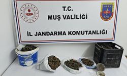 Muş’ta uyuşturucu operasyonu
