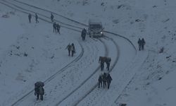 Yüksekova yoğun kara teslim oldu