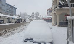 Kış Van’da kendini gösterdi: Onlarca yerleşim yerinin yolu kapandı!